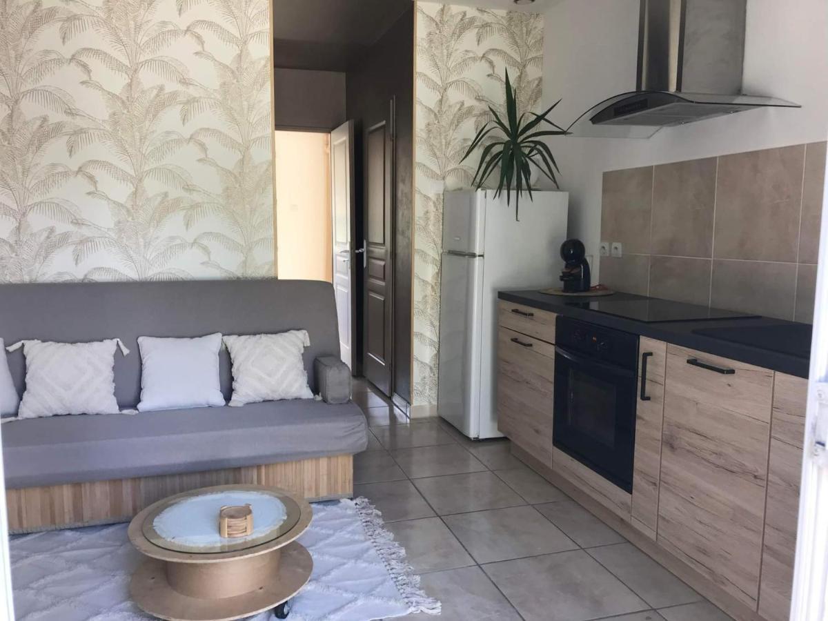 Appartement T1 Plain Pied Le Cannet-des-Maures Exterior photo